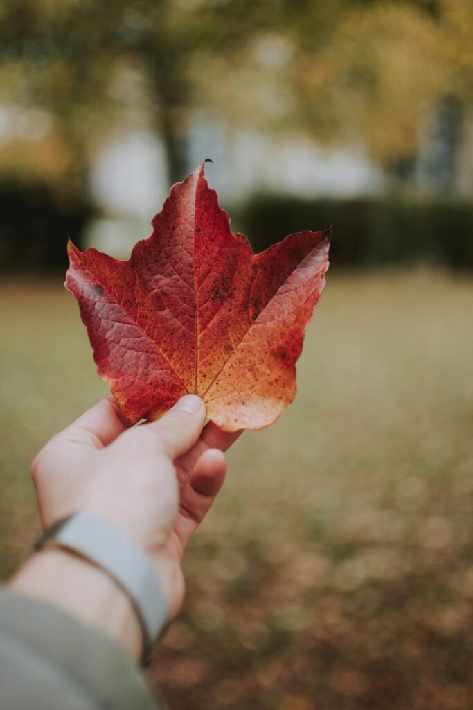 pexels-lilartsy-1563524